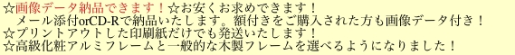 ☆画像データ納品はじめました！☆お安くお求めできます！ お家のプリンター等で印刷する。額は好きな物を自分で用意したいという方にメール添付またはCD-Rで納品いたします。似顔絵オリジナルアイテムを作りたい方にもおすすめです。額付きをご購入された方も画像データ付き（ご希望の納品方法にて）